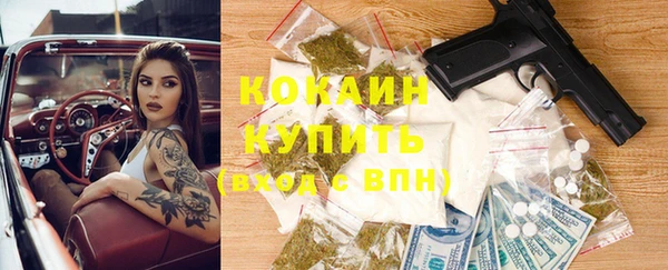 дживик Арсеньев