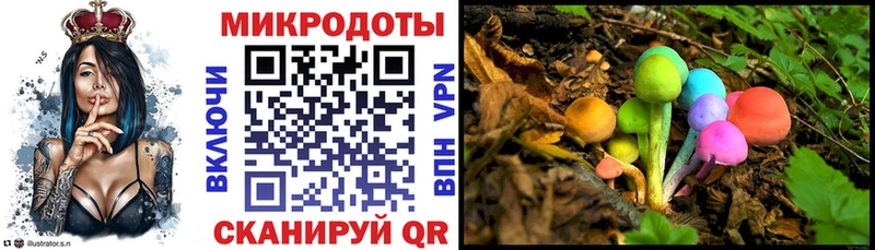 Купить  Тихвин  Галлюциногенные грибы Psilocybe 